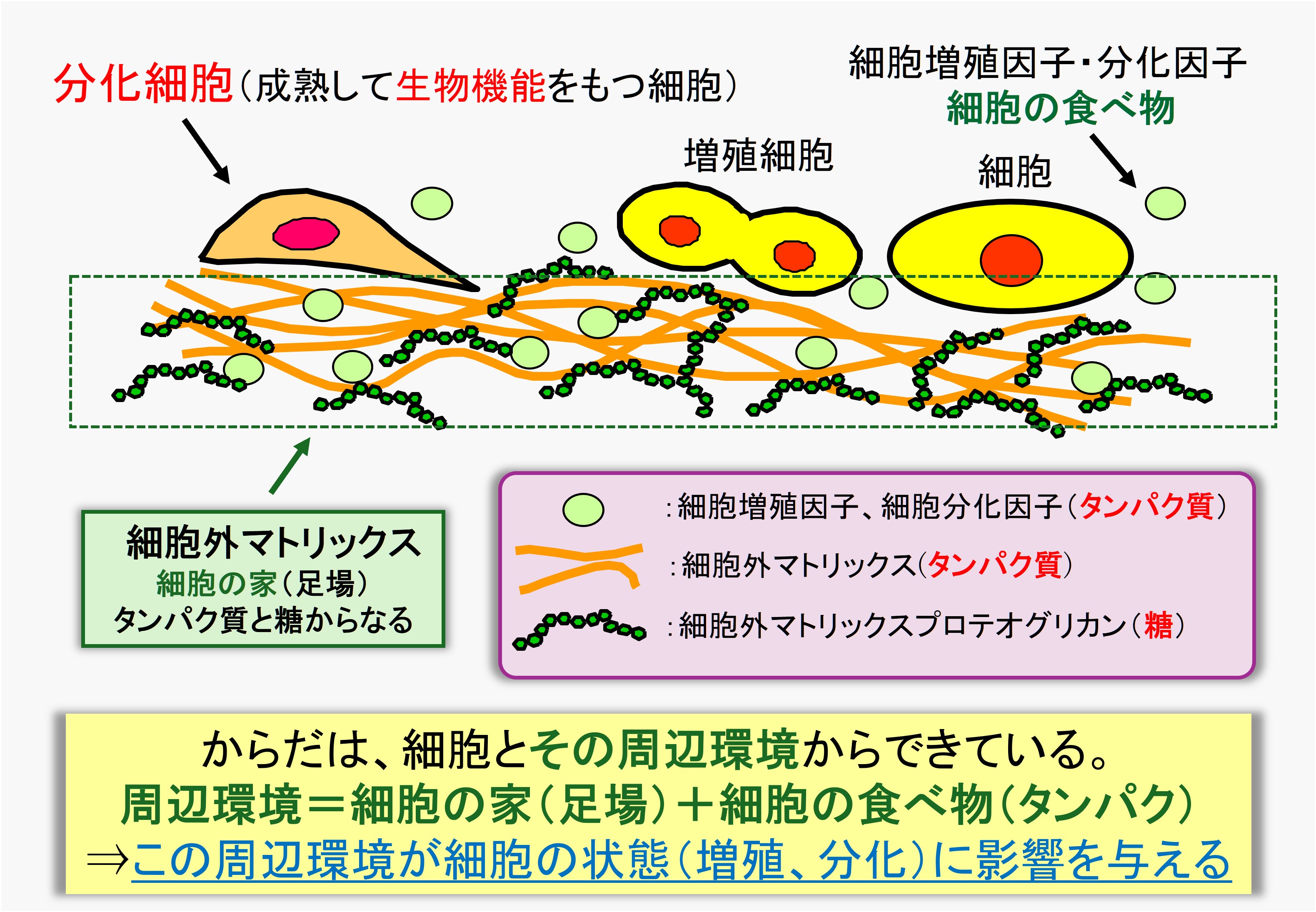 図4